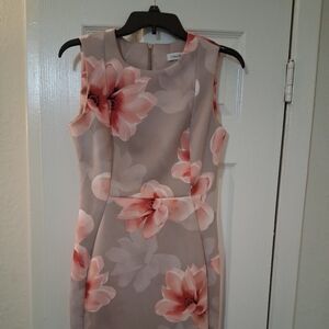 Calvin Klein Gray and Pink Floral Dress(size 6)